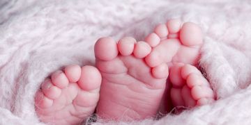 فاشينيستا شهيرة ترزق بتوأم -صور فاشينيستا شهيرة ترزق بتوأم -صور