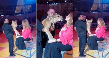 كم كنت مباركة من الرب ... مادلين طبر تستعيد ذكريات عضة أسد لها: اتعالجت في 6 أسابيع