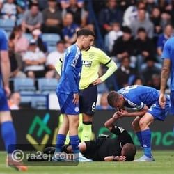 طرافة فاردي توقف لقاء ليستر وساوثامبتون لإصابة الحكم (فيديو)