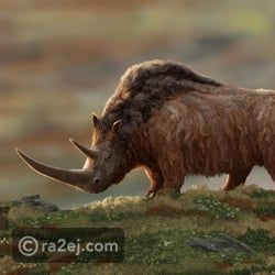 تعرف على أغرب 10 حيوانات منقرضة.. لن تصدق شكلها وخصائصها