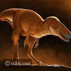 اكتشاف نوع جديد من الديناصورات مثير للدهشة.. كيف كان يبدو؟