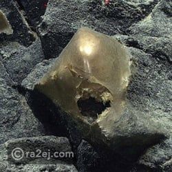 علماء يعثرون على بيضة ذهبية غامضة في أعماق المحيط (فيديو) علماء يعثرون على بيضة ذهبية غامضة في أعماق المحيط (فيديو)