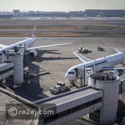 دب يقتحم مطار ياباني ويتسبب في تعليق الملاحة وإلغاء 16 رحلة