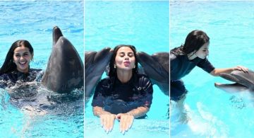 منة عرفة تلعب مع الدلافين في الساحل الشمالي منة عرفة تلعب مع الدلافين في الساحل الشمالي