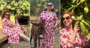 ريهام الشنواني تقدم تحية كبيرة للجحش عزوز في موسم حصاد المانجه