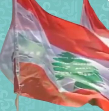 نضال الأحمدية: لبنان قضيتي لا فلسطين