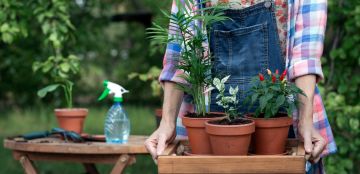 بـ 4 خطوات فقط يمكنك تنظيم الحدائق المنزلية بـ 4 خطوات فقط يمكنك تنظيم الحدائق المنزلية