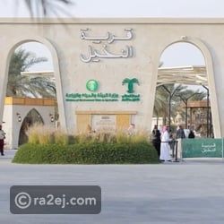 مواطنة تبدع في تحويل نواة التمر إلى صابون طبيعي وجد إقبالا كبيرا من زوار القرية مواطنة تبدع في تحويل نواة التمر إلى صابون طبيعي وجد إقبالا كبيرا من زوار القرية