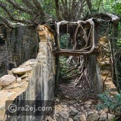 الأحياء المهجورة في المدن الحديثة: تاريخ ومخاطر وفرص للتجديد الحضري