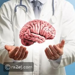 اللحظة التي يقرر فيها الدماغ اتخاذ القرار: ماذا يحدث قبل أن نقول نعم أو لا؟