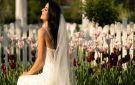 أبرز خلفيات عروس مع اقتراب موعد الزفاف!