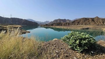 وادي الوريعة في الفجيرة يقترب من قائمة التراث العالمي وادي الوريعة في الفجيرة يقترب من قائمة التراث العالمي