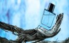دليلك لمعرفة أبرز عطور فرنسية نسائية تدوم لوقت طويل