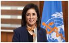 من البروفيسورة حنان بلخي؟ مرشحة السعودية لقيادة منظمة الصحة العالمية