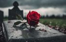 رحيل كاتب شهير بعد صراع مع المرض - xx