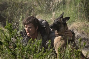 فيلم The Dog Stars يحظى بإشادات عالمية