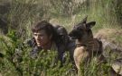 فيلم The Dog Stars يحظى بإشادات عالمية