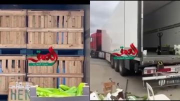 إحباط تهريب أطنان من مخدر الشيرا بميناء الجزيرة الخضراء عبر شاحنة مغربية (صور) إحباط تهريب أطنان من مخدر الشيرا بميناء الجزيرة الخضراء عبر شاحنة مغربية (صور)