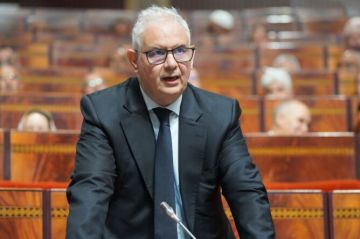 بركة يقر بـأزمة ثقة لدى الشباب في المؤسسات ويحذر من إعادة ضبط النظام بحكومة تكنوقراط