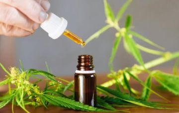 معطيات رسمية: منتجات القنب الهندي تسوق في 644 نقطة بيع بالمغرب وتصدر إلى 7 دول