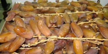 هل تراجعت تونس عن منع تصدير التمور إلى المغرب؟