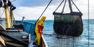 ميناء طانطان يسجل ارتفاعا في مفرغات الصيد الساحلي والتقليدي