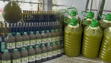 الحكومة تتوقع تجاوز إنتاج الزيتون لمليوني طن.. وتراجع إيجابي في أسعار زيت الزيتون