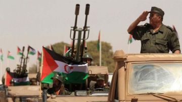 مشروع القرار الأمريكي يربك البوليساريو.. الجبهة تراسل مجلس الأمن وتقاطع المفاوضات