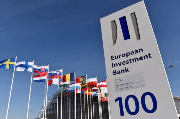 بنك الاستثمار الأوروبي يخطط لتوسيع أنشطته في مصر لدعم الشركات الناشئة بنك الاستثمار الأوروبي يخطط لتوسيع أنشطته في مصر لدعم الشركات الناشئة