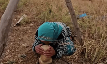 قضية الطفل الراعي محمد إينو.. قاضي التحقيق يستمع إلى طبيبين وعون سلطة