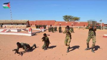 حرمة الله يفضح فظائع البوليساريو بالأمم المتحدة: أطفال تندوف ضحايا الاتجار والاستغلال حرمة الله يفضح فظائع البوليساريو بالأمم المتحدة: أطفال تندوف ضحايا الاتجار والاستغلال