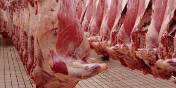 هل يؤثر تعليق تصدير الأبقار على ارتفاع أسعار اللحوم الحمراء؟ مصدر من لونسا يوضح