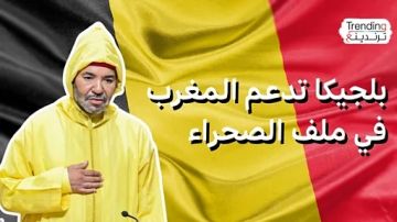 الصحراء الغربية.. بلجيكا تدعم مقترح المغرب للحكم الذاتي الصحراء الغربية.. بلجيكا تدعم مقترح المغرب للحكم الذاتي
