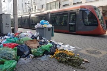 أزيد من 1300 كاميرا ذكية بالبيضاء لملاحقة مخالفات النظافة وتغيير سلوك المواطنين أزيد من 1300 كاميرا ذكية بالبيضاء لملاحقة مخالفات النظافة وتغيير سلوك المواطنين