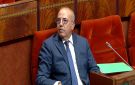إنتاج مهم سيخفض الأسعار .. البواري يطمئن المغاربة بشأن أثمنة زيت الزيتون - ma