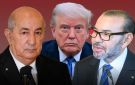 برعاية ترامب.. ويتكوف يكشف عن مفاوضات سلام تاريخية بين المغرب والجزائر خلال 60 يوما - ma