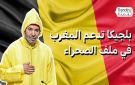الصحراء الغربية.. بلجيكا تدعم مقترح المغرب للحكم الذاتي - ma