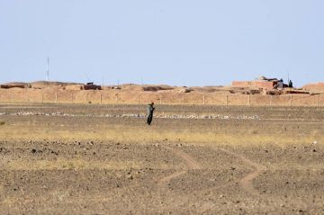 مجلس الأمن يؤيد خطة المغرب للحكم الذاتي في الصحراء الغربية
