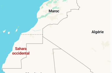 حدود حسب الجنسية.. غوغل تخفي عن المغاربة ما تعرضه على آخرين