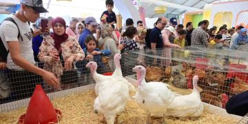 افتتاح الدورة 26 لمعرض دواجن 2025 بالجديدة