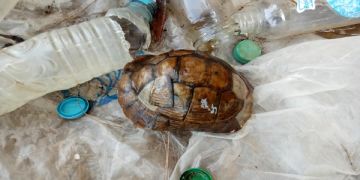 أعمال الشعوذة تسقط إمام زاوية بوادي زم في قبضة الأمن أعمال الشعوذة تسقط إمام زاوية بوادي زم في قبضة الأمن