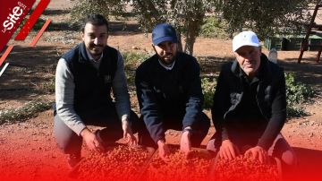 المثمر تنجح في مواكبة زراعات الزيتون وترفع الإنتاج بقلعة السراغنة-فيديو المثمر تنجح في مواكبة زراعات الزيتون وترفع الإنتاج بقلعة السراغنة-فيديو