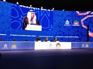 المغرب.. مبادرات روسية على طاولة الإنتربول لتعزيز مواجهة الجريمة العابرة للحدود المغرب.. مبادرات روسية على طاولة الإنتربول لتعزيز مواجهة الجريمة العابرة للحدود