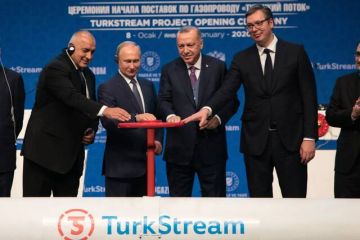 عقوبات ترامب تقوض نفوذ بوتين في البلقان عقوبات ترامب تقوض نفوذ بوتين في البلقان