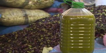 اتحاد المستهلكين يقطع الشك حول جودة زيت الزيتون المغربي بعد بحث ميداني