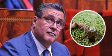 أخنوش يتوقع بلوغ إنتاج الزيتون مليوني طن ويتحدث عن تراجع أسعار زيت الزيتون