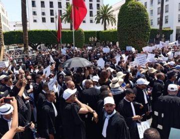 محامون يهاجمون زميلهم الوزير