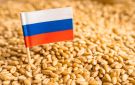 مصر والمغرب والإمارات في مقدمة المستحوذين على القمح الروسي