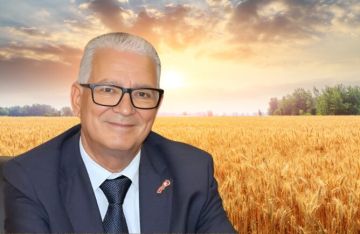 رئيس جامعة المطاحن لـالعمق: المغرب بحاجة لاستيراد 50 مليون قنطار من القمح رئيس جامعة المطاحن لـالعمق: المغرب بحاجة لاستيراد 50 مليون قنطار من القمح