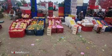 مهنيون ينبهون إلى ارتفاع أثمنة الفواكه بسوق الجملة في البيضاء: كلشي غالي -فيديو